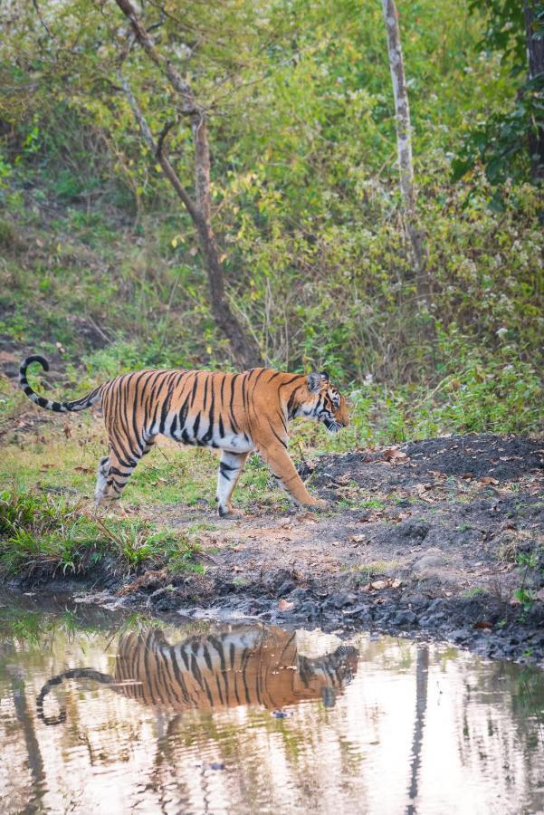 Kaav Safari Lodge, Kabini Begur Ngoại thất bức ảnh