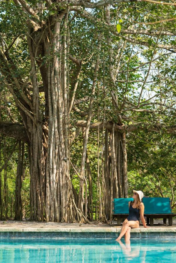 Kaav Safari Lodge, Kabini Begur Ngoại thất bức ảnh