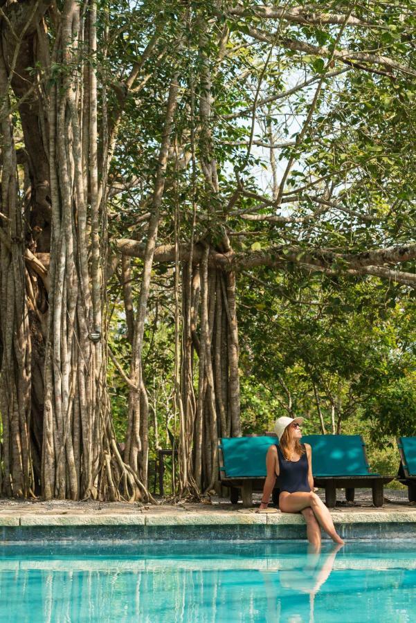 Kaav Safari Lodge, Kabini Begur Ngoại thất bức ảnh
