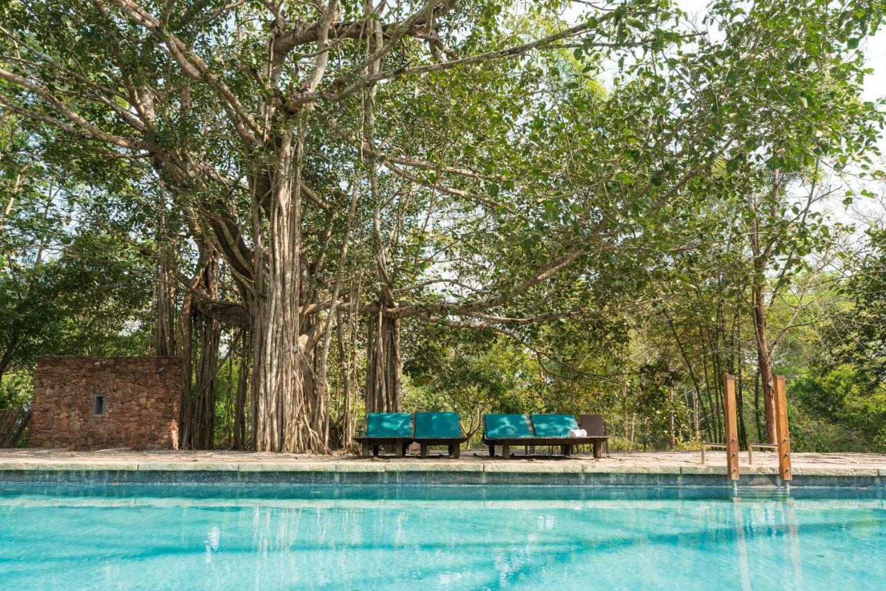Kaav Safari Lodge, Kabini Begur Ngoại thất bức ảnh