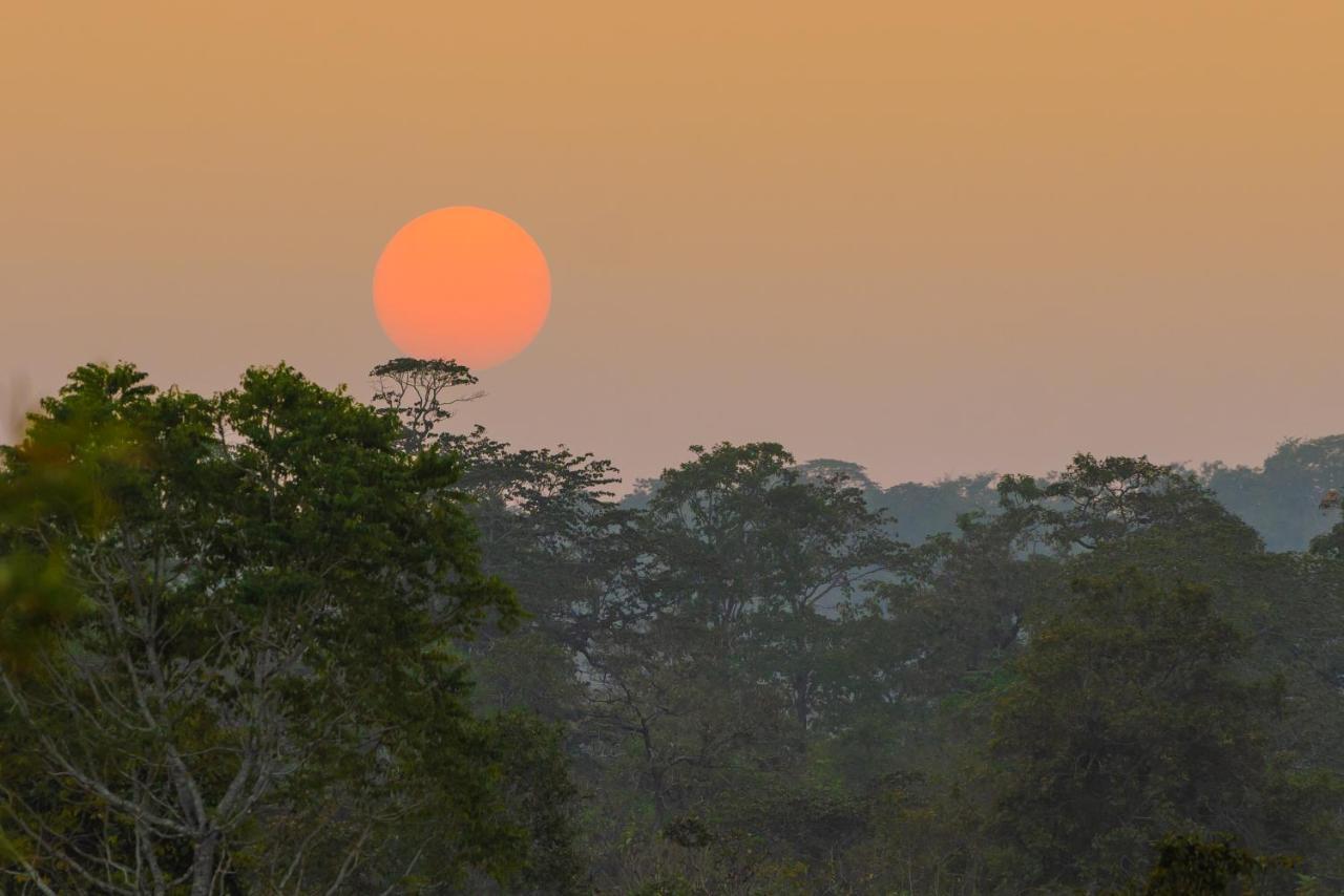 Kaav Safari Lodge, Kabini Begur Ngoại thất bức ảnh